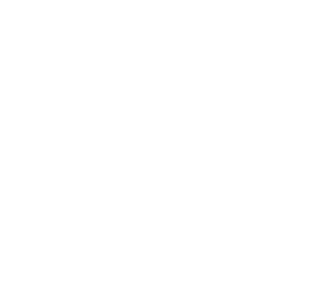 payz casino